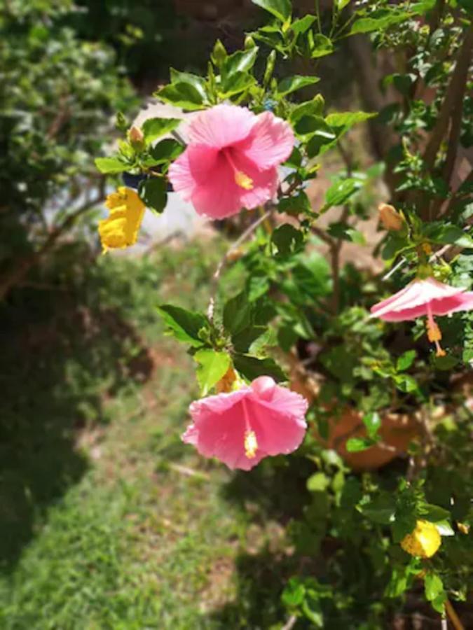 Casa Com Spa De Hidro, Aquecedor E Cromoterapia A 1,0 Km Do Centro Chapada dos Guimarães Kültér fotó